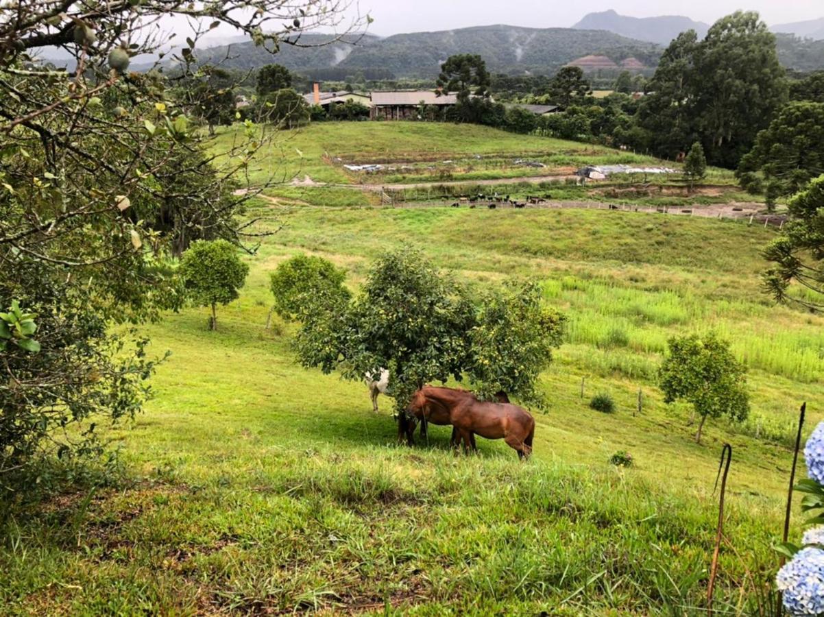 Pousada Fazenda Da Invernada ウルビシ エクステリア 写真